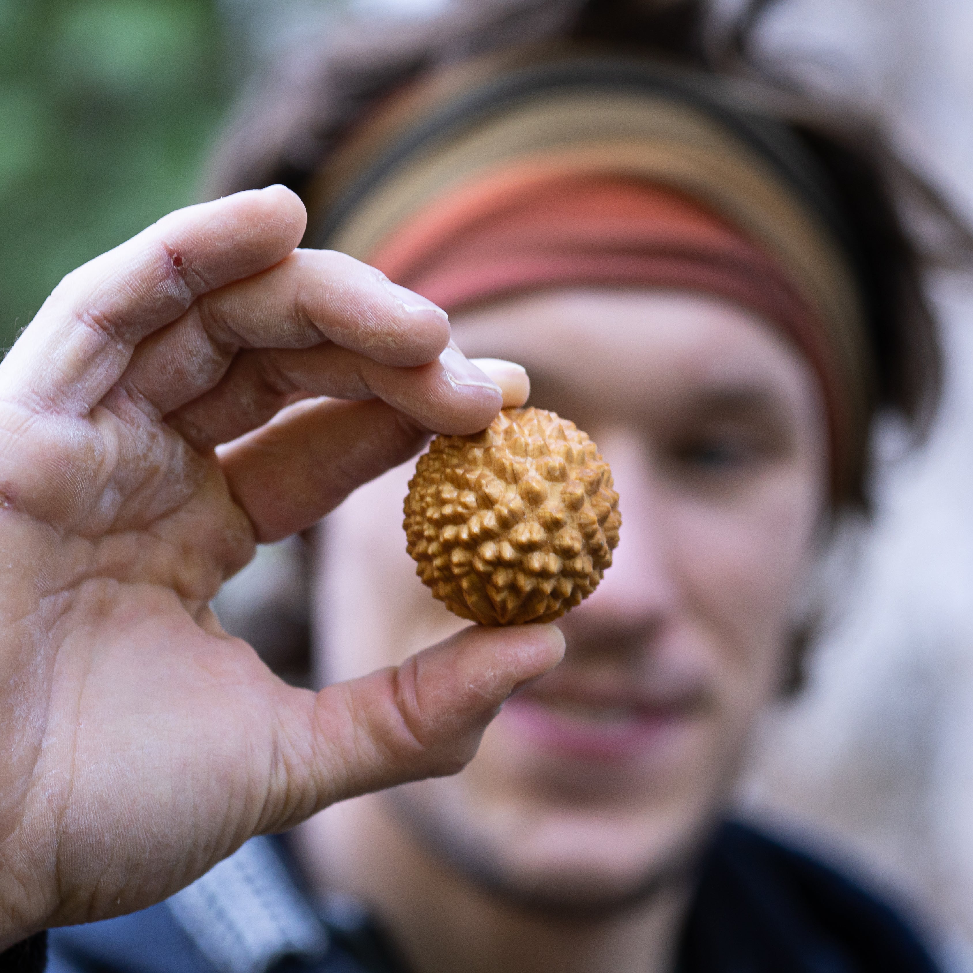 SpikeX